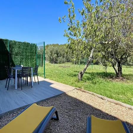Apartment In With Terrace